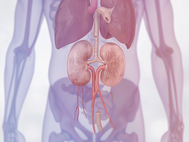 Хроническая болезнь почек