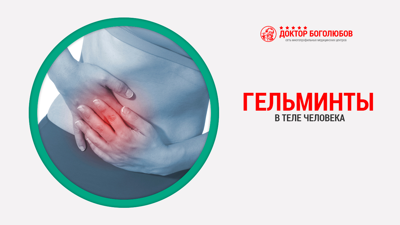 Наши квартиранты-гельминты