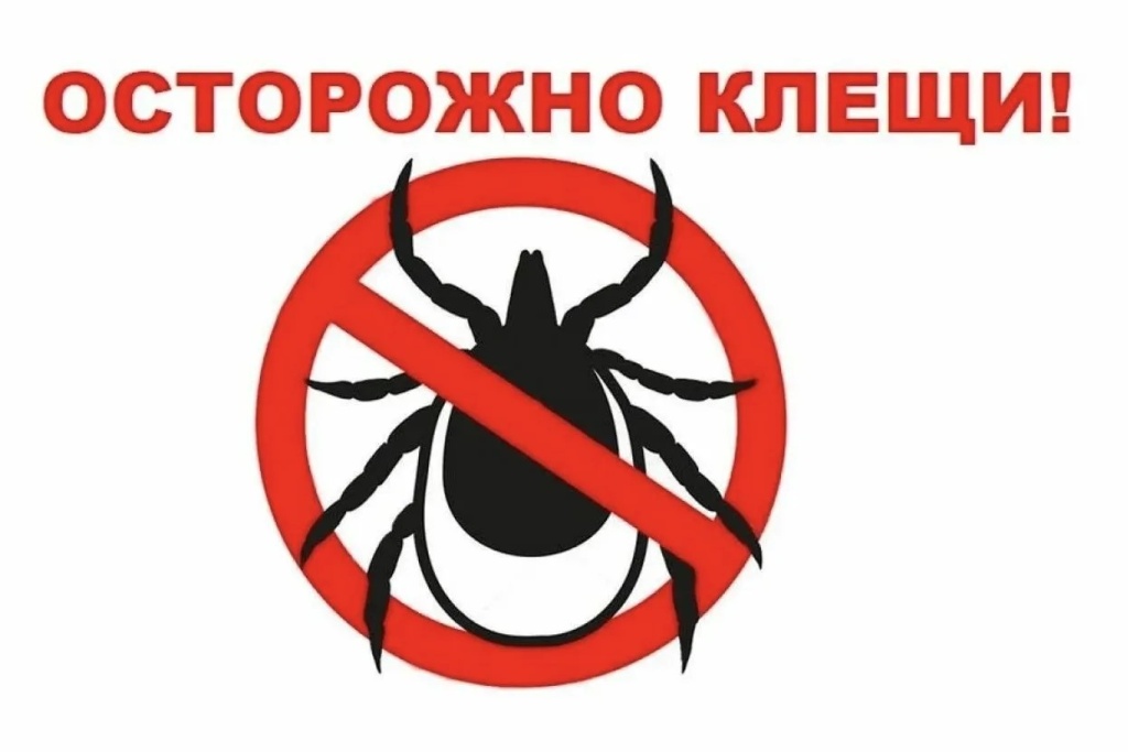 Горячая линия по профилактике клещевых инфекций